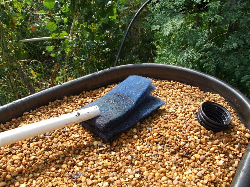 washing worm pad into new sysem (Medium).JPG