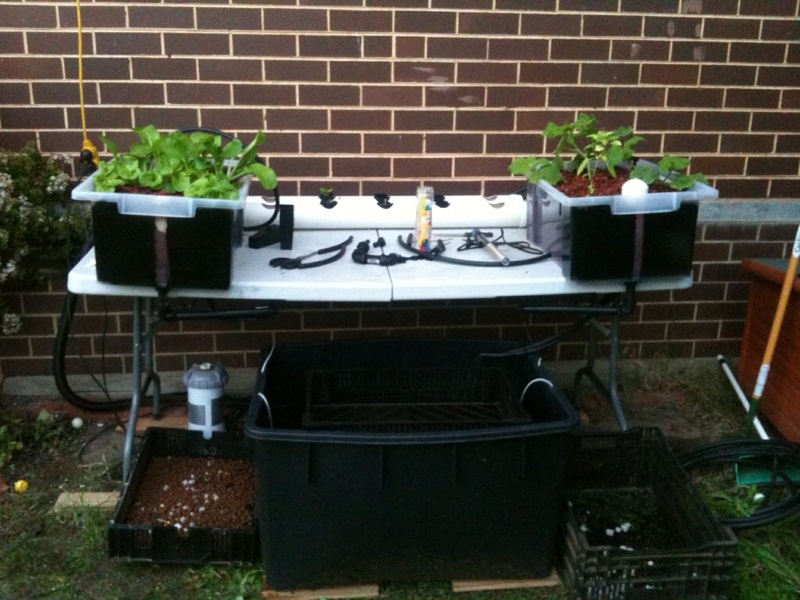 System Moved to North Facing Wall early May.jpg