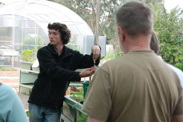 Now look here this is how you prepare a seedling.JPG