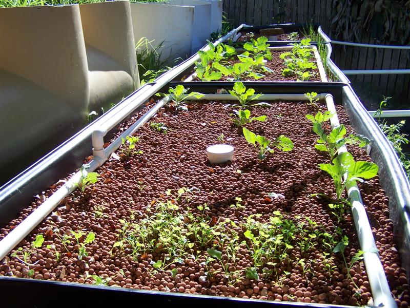 100_4719 (Medium).JPG