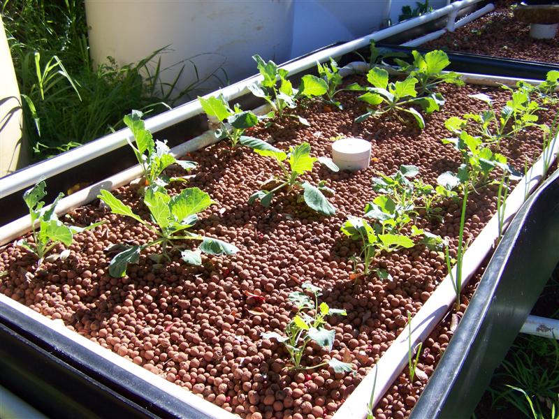 100_4721 (Medium).JPG