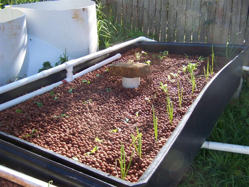 100_4722 (Medium).JPG