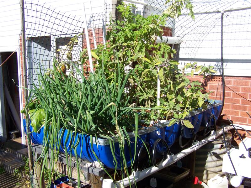 100_4723 (Medium).JPG