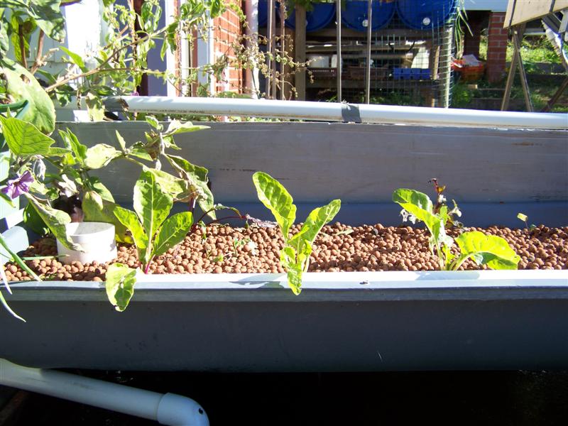 100_4734 (Medium).JPG