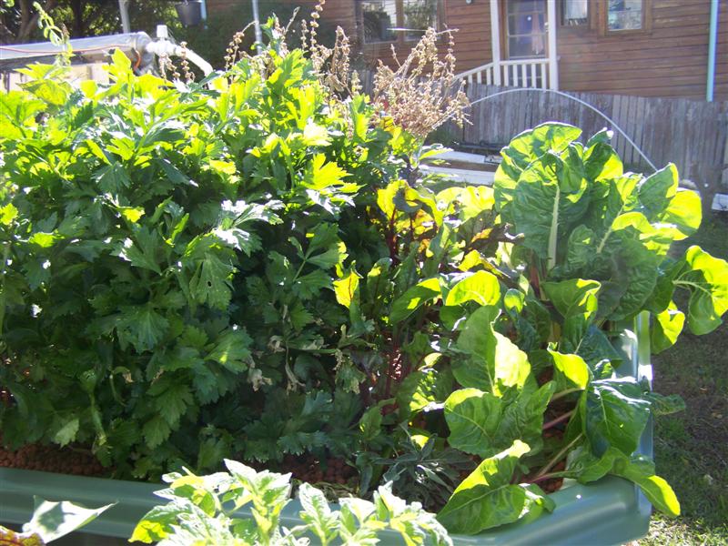 100_4731 (Medium).JPG