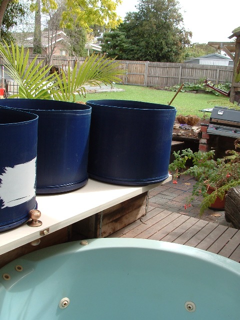 barrel ponics 002 resized.jpg