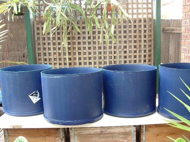 barrel ponics 005 resize.jpg