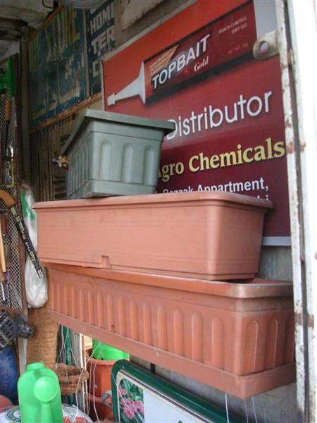 DSC04259 (Medium).JPG