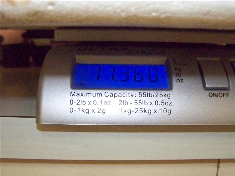 100_4758 (Medium).JPG