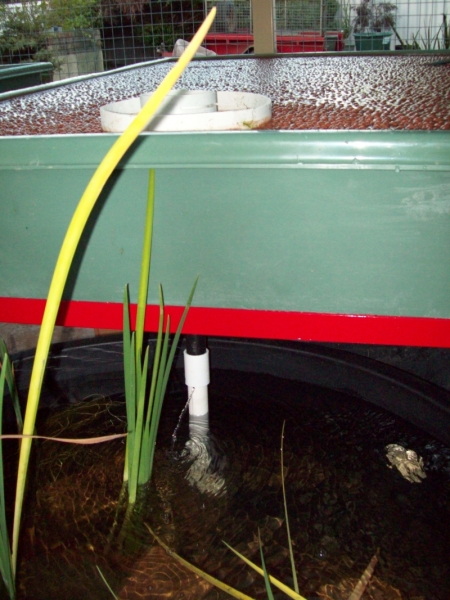 Copy of 100_0743.JPG