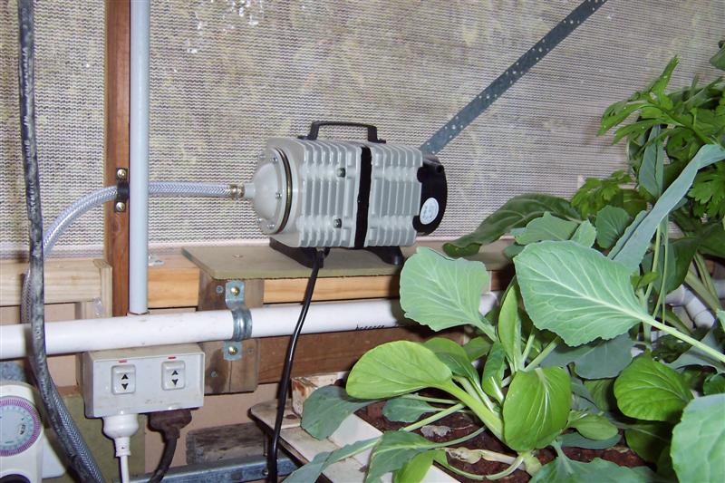 New Air pump and airated fish tanks 001 (Medium).jpg