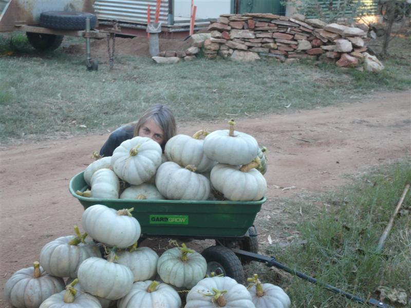 AP pics 1 086 (Medium).jpg