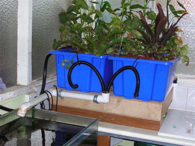 DSCN1725 (Medium).JPG