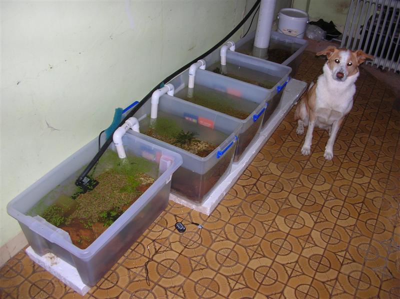 DSCN0989 (Medium).JPG