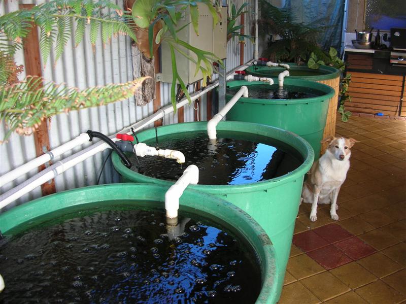 DSCN1732 (Medium).JPG