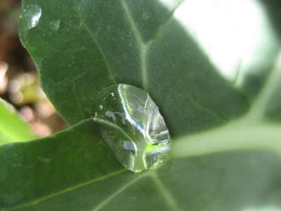 wood_oven_ap 013-400.jpg