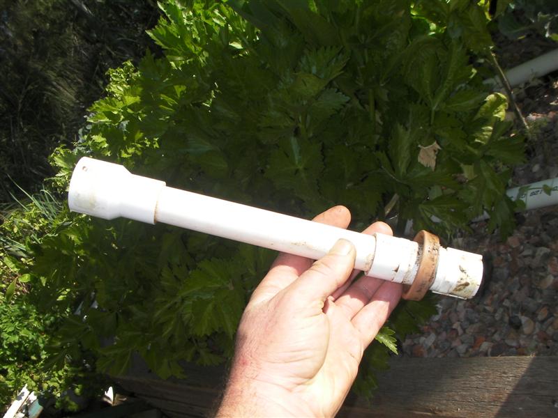 siphons 013 (Medium).jpg