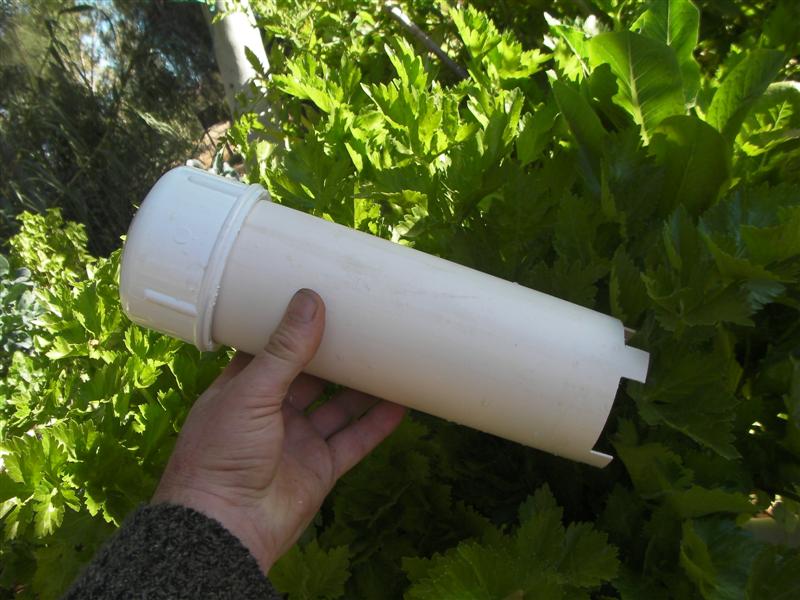 siphons 025 (Medium).jpg