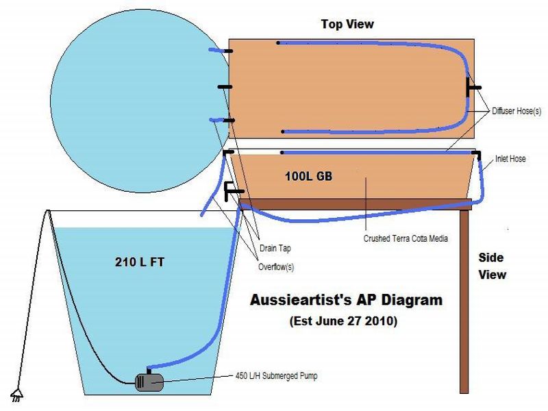 Aussieartist's AP Diagram.jpg