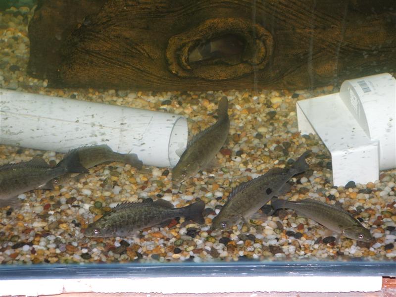 DSCF2392 (Medium).JPG