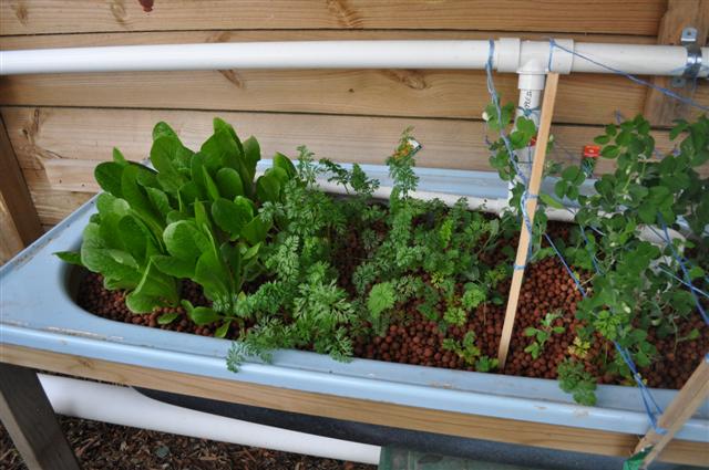 Bed 2_29.6.10 (Small).jpg