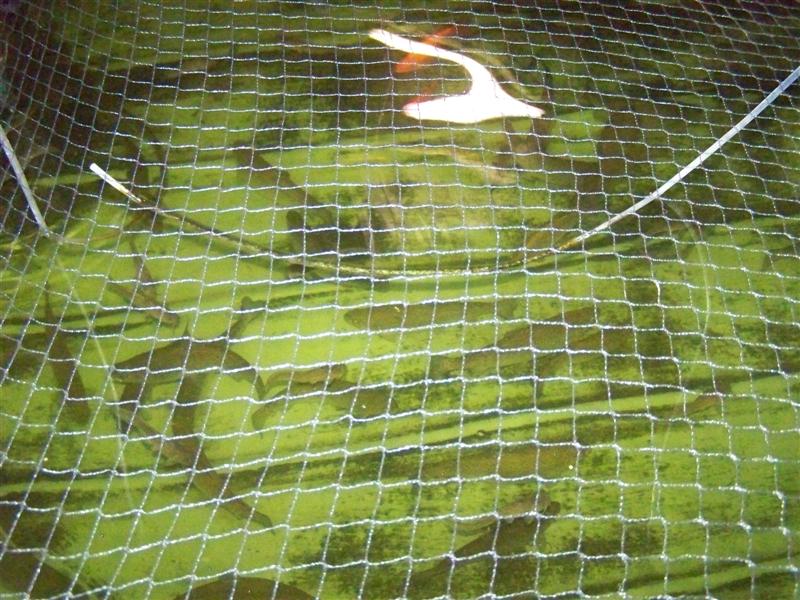 100_4796 (Medium).JPG