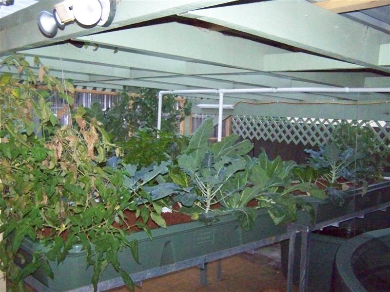 100_4783 (Medium).JPG