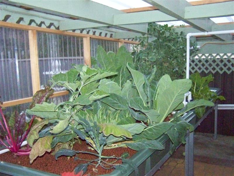 100_4784 (Medium).JPG