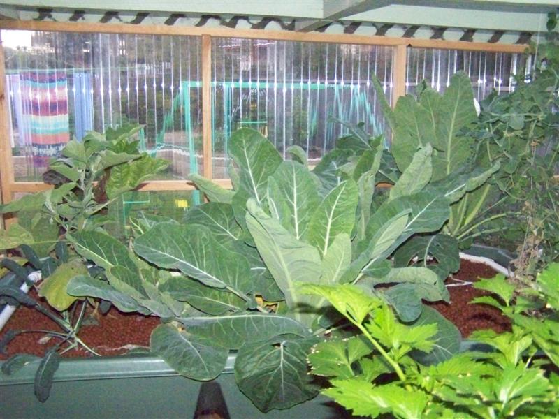 100_4785 (Medium).JPG