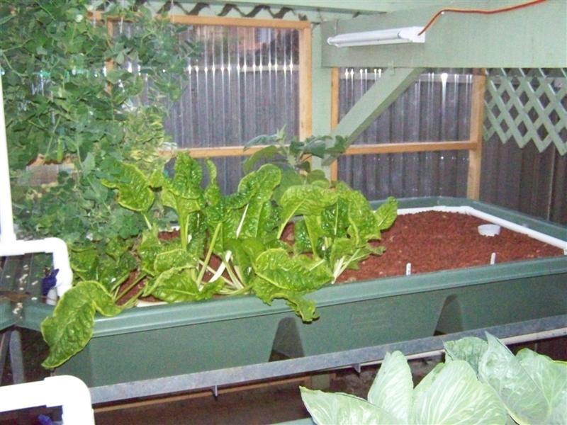 100_4786 (Medium).JPG