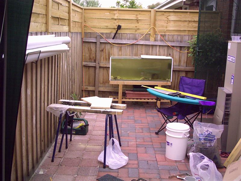 fist aqua pics 001 (Medium).jpg