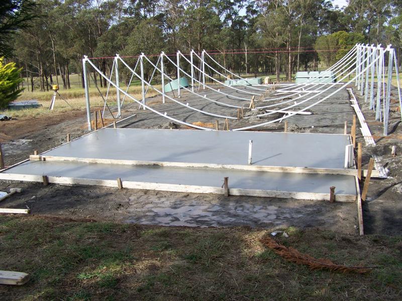 100_4771 (Medium).JPG