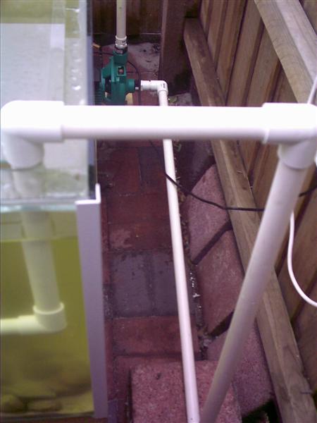 fist aqua pics 007 (Medium).jpg