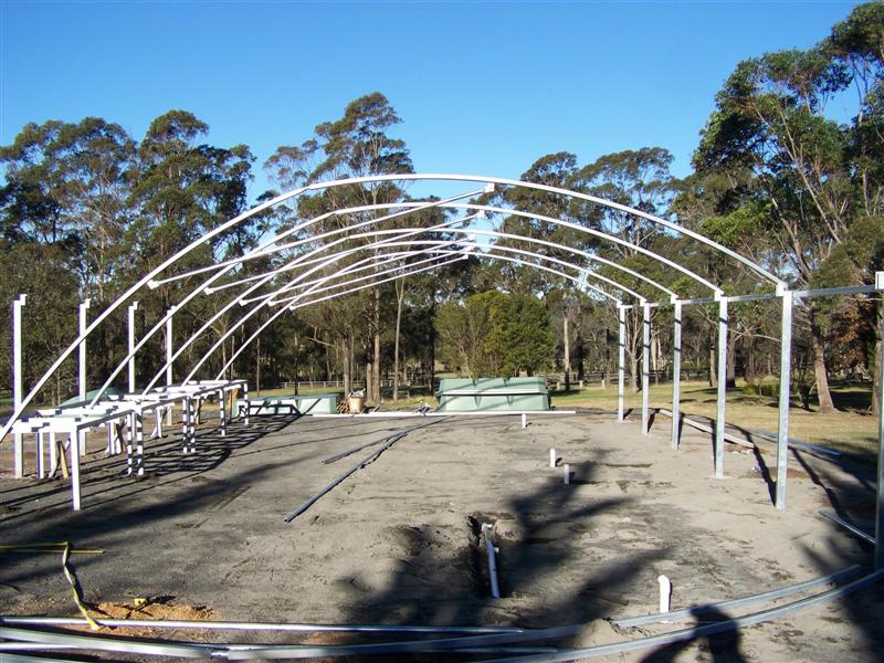 100_4798 (Medium).JPG