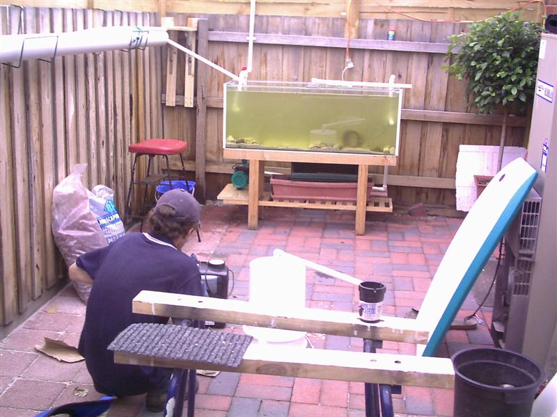 fist aqua pics 006 (Medium).jpg