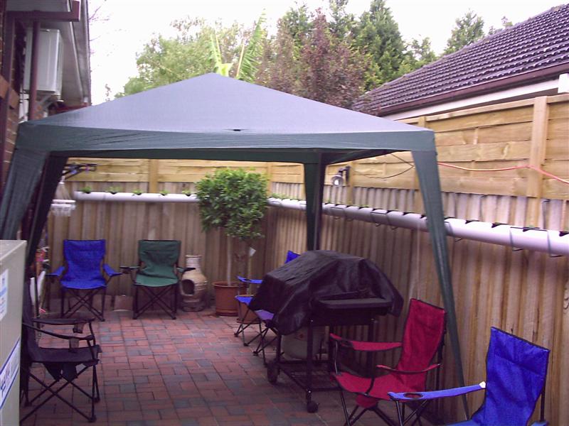 fist aqua pics 018 (Medium).jpg