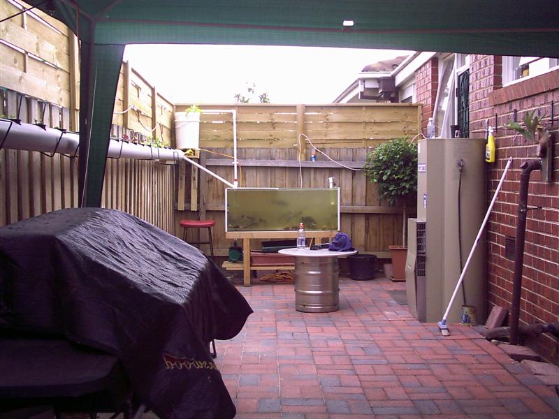 fist aqua pics 020 (Medium).jpg