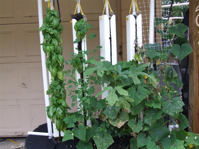 Front porch towers July 1 (Medium).JPG
