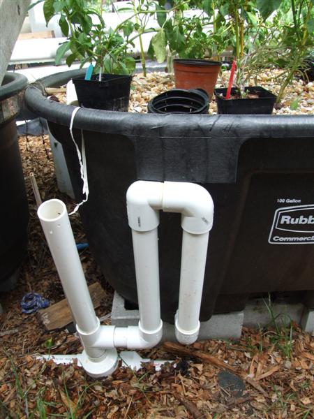 Gooseneck siphon (Medium).JPG