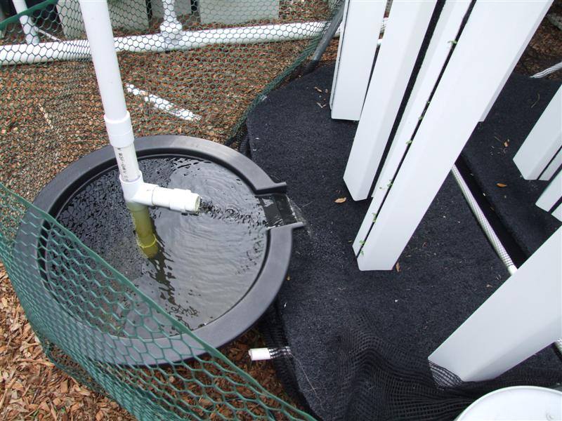 good way to dissolve salt (Medium).JPG