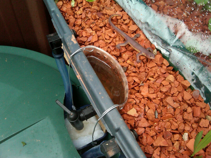 water level indicator.jpg