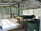 aquaponics before (3).JPG