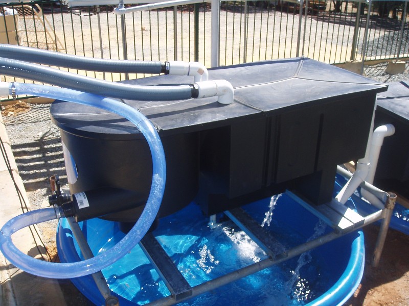 modified Vortex filter system over sump tank.JPG