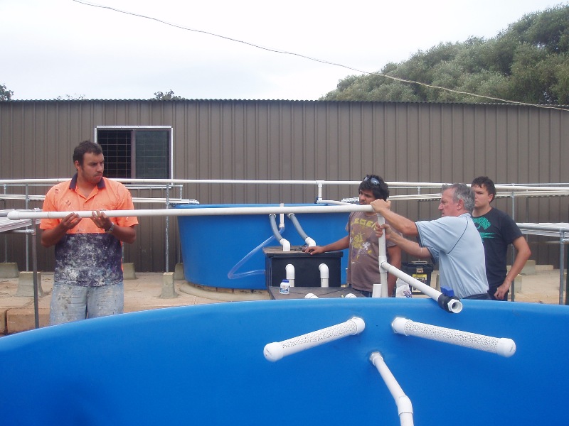 Building the system. The top pipes take the clean water while the centre pipe takes the solids out.JPG