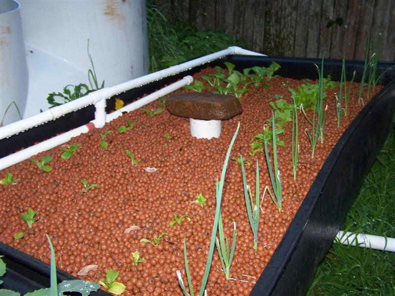 100_4827 (Medium).JPG