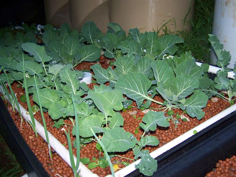 100_4829 (Medium).JPG