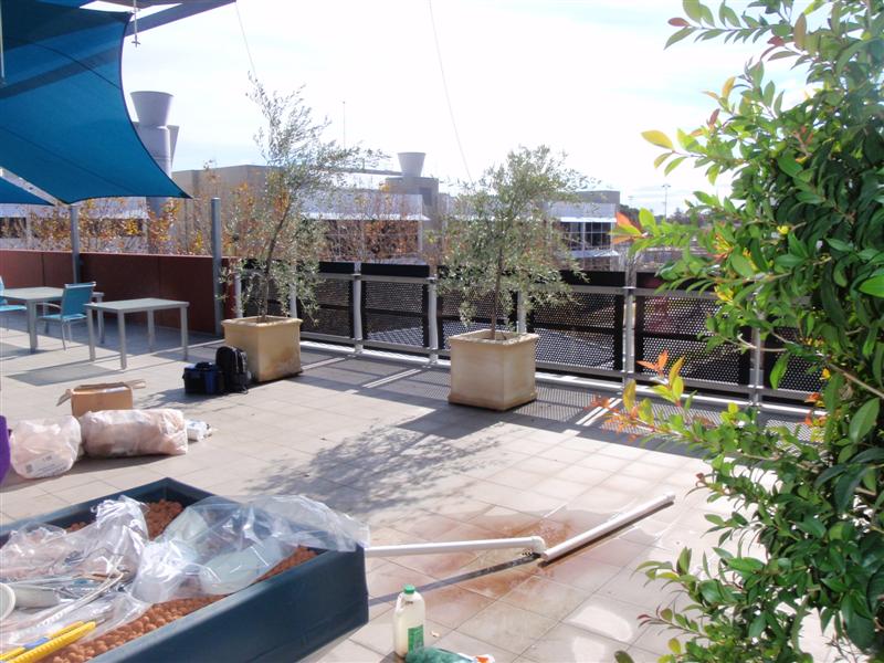 P7050120 (Medium).JPG