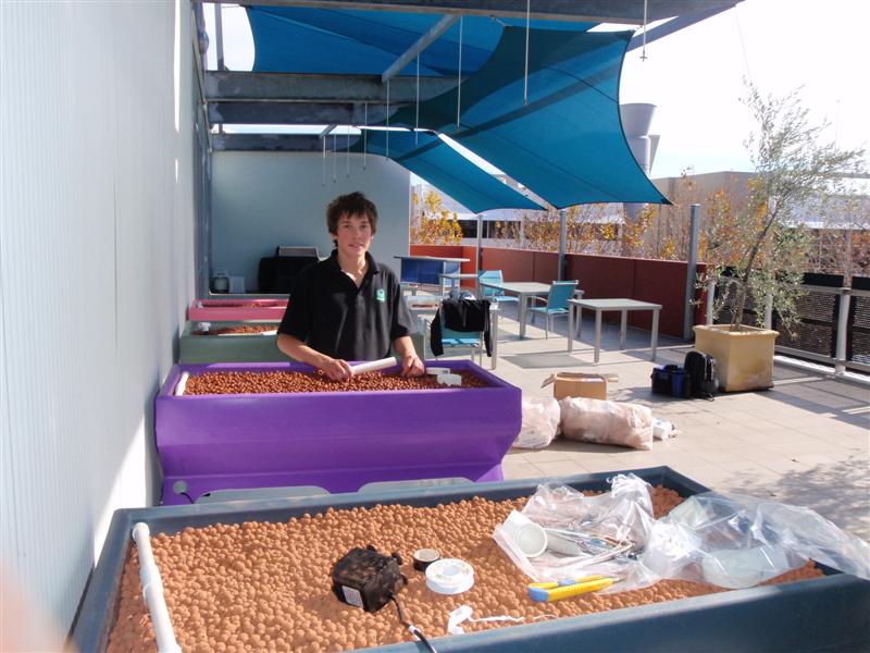 P7050119 (Medium).JPG