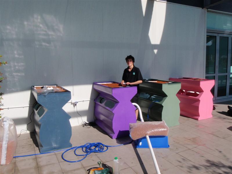 P7050118 (Medium).JPG