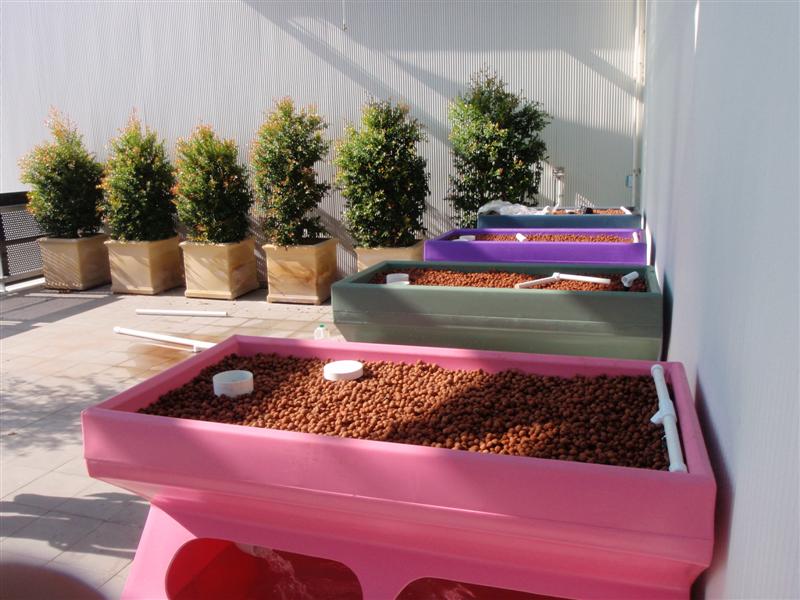 P7050121 (Medium).JPG